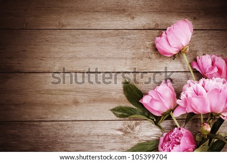 pink peony on wooden background