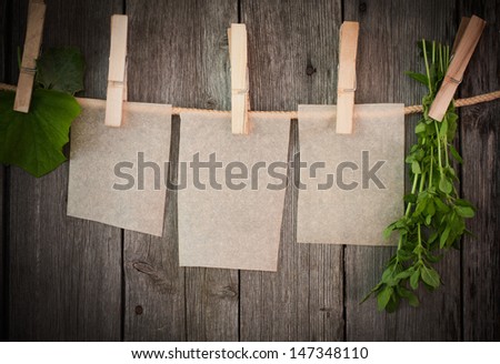 medicine herbs and paper attach to rope with clothes pins on wooden background