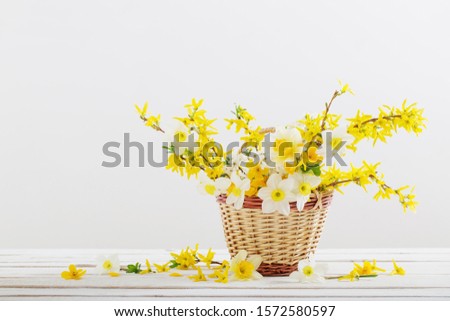 Similar – Image, Stock Photo Bright Yellow Daffodil