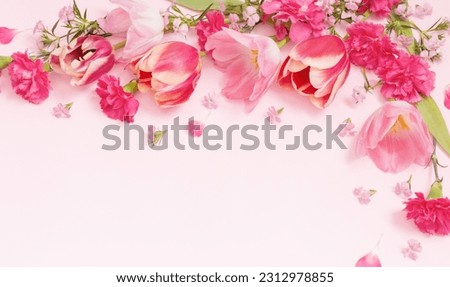 Similar – Image, Stock Photo Tulips frame with purple petals at white background. Seasonal springtime flowers