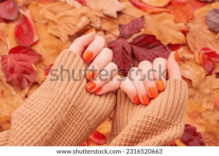 Similar – Image, Stock Photo Autumn leaves in hand from child