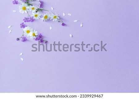 Similar – Foto Bild Wildblumen Natur Frühling