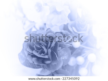 closeup image of roses in soft style blue