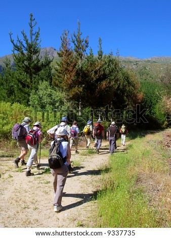 Group of hikers enters forest - and majestic mountain landscape as a background. Shot in Jonkershoek nature reserve, Stellenbosch, Western Cape, South Africa.