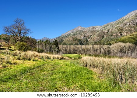 Country road through African wetland - and majestic mountains as background. Shot near Stellenbosch, Western Cape, South Africa.