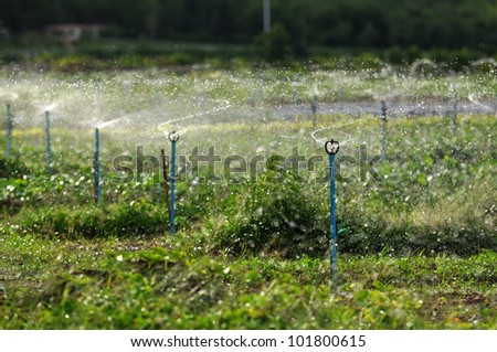 Modern device of irrigation garden. Irrigation system - technique of watering in the garden. Lawn sprinkler spraying water over green grass.