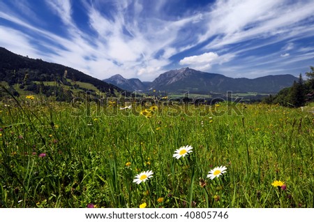 Beautiful landscape with fields and meadows in Austrian Alps