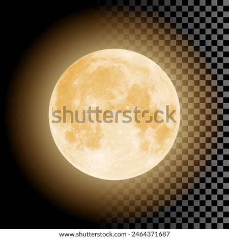 Golden Full moon, Vector Illustration