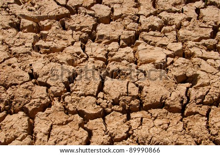 Fissure, The broken soil occurred from the rainless situation showing the concept of global warming.