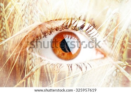 Double exposure portrait of macro eye combined with photograph of ear of wheat. Be creative!