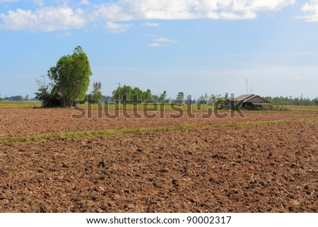 Prepare the planting.The conversion of vegetable crops of farmers.