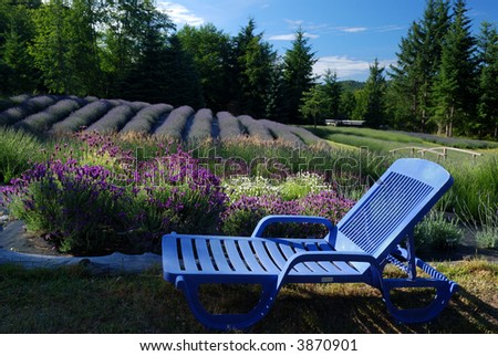 lawn chair and lavender field