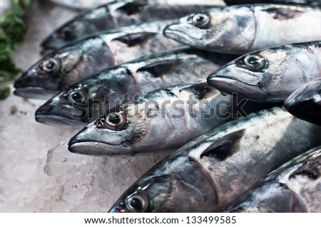 A lot of fishes in a line laying on ice on a fish market