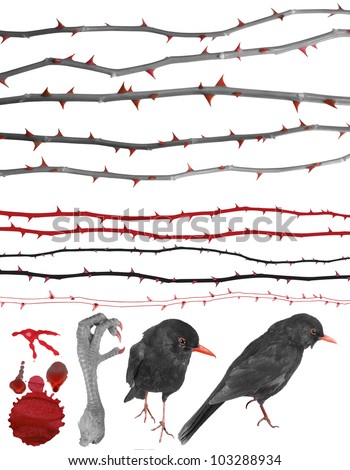 Thorny design elements of rose lines, birds, a claw, a color splash and drops in grey scale with red accentuation. Clipping paths for all photographed elements included.