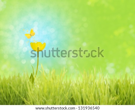 Yellow spring flower, the tulip, on a complementary blue bokeh background, that is fading into green, behind a soft grass foreground stripe, standing for cheerfulness