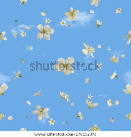 seamless flying white pear blossoms, studio photographed, in depth of field, with wispy clouds behind
