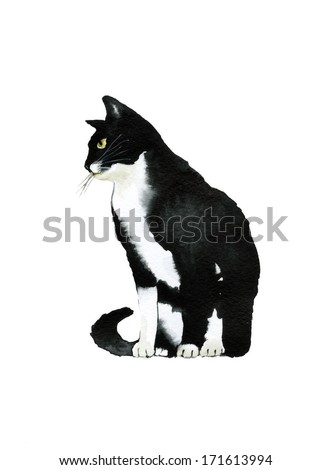 Black and white watercolor cat sits in profile