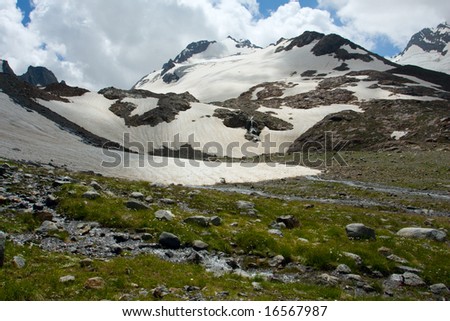 Flowering meadow with spring in mountains with glacier on background