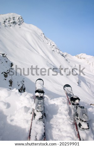 skis in snow on the brink of mountain