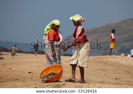 GOA, INDIA - DECEMBER 13: Two women gathering cow\'s dung on a sea coast on December 13, 2009 in Goa, India. Cow is sacred animal in India and can do whatever it wants but the beach need to be clean.