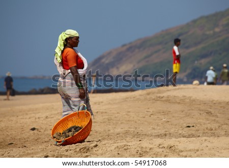 GOA, INDIA - DECEMBER 13: Two women gathering cow\'s dung on a sea coast in Goa, India in 13 of December 2009. Cow is sacred animal in India and can going whatever it want but beach need to be clear.