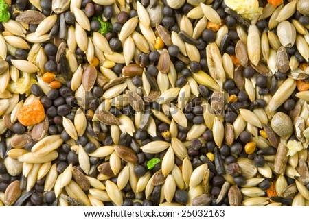 A close-up of a lot of different bird food