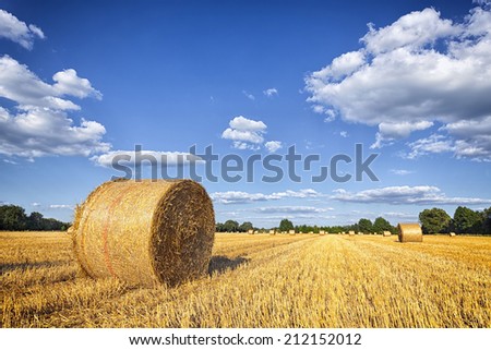 Similar – Image, Stock Photo Late summer rolls Field