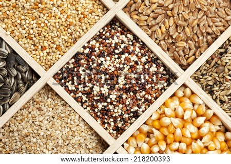 variety of seeds and grains in shadow box, high angle view