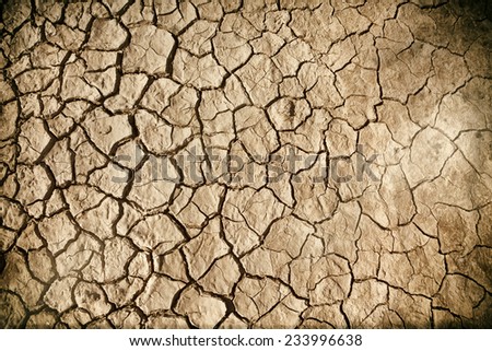 Grunge background of cracked dried mud