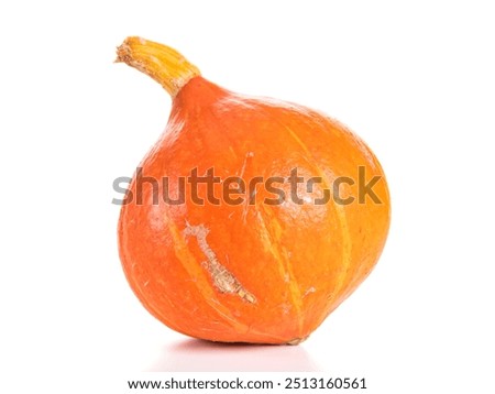 Similar – Image, Stock Photo Hokkaido pumpkin in red in a round basket on old cobblestones in the Hanseatic town of Lemgo near Detmold in East Westphalia-Lippe