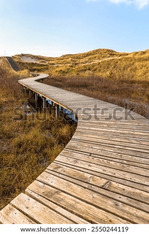 Similar – Image, Stock Photo Wooden path leading through the swamp and forest in a natural park