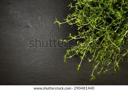 thyme plant on slate background, top view with copy space
