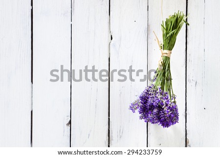 Bundle of Lavender flowers hanging in front of rustic white wooden wall in sunlight, copy space on left