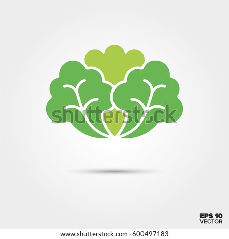 Lettuce vegetable two color vector icon