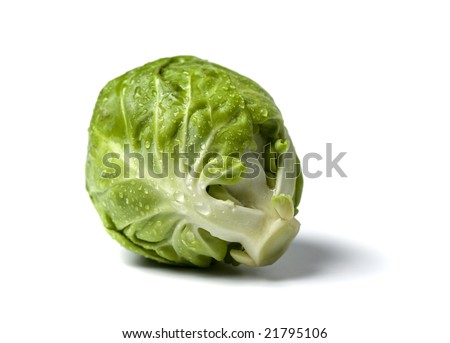 close-up of fresh brussels sprout, isolated