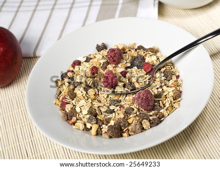 dried fruit muesli in white bowl with spoon