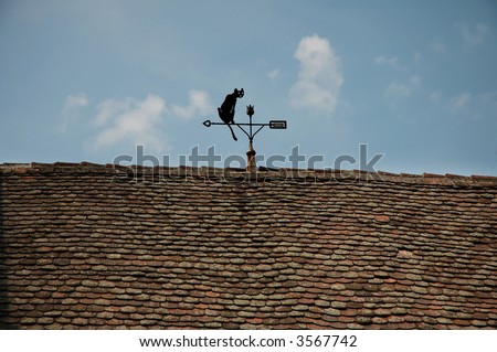 Cat on the roof - Weather vane for wind direction