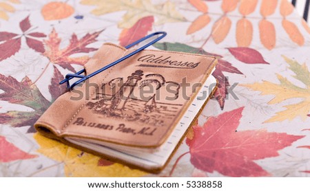 Address book on the fall background.