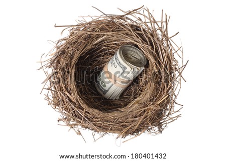 Bird\'s nest with money, cut out on white background