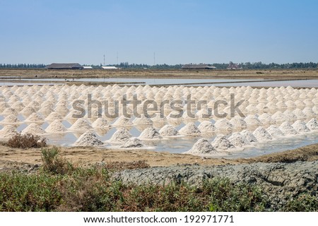 The harvest times of salt in salt evaporation pond in Thailand
