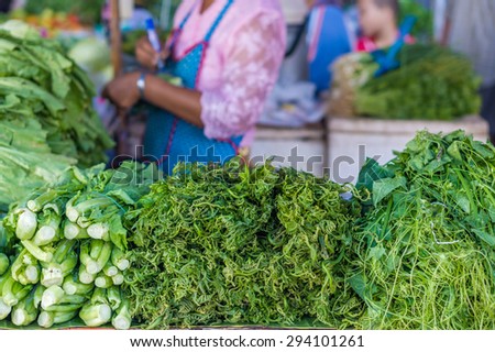 Kale (Brassica alboglabra), vegetable fern (Diplazium esculentum) and Coccinia grandis are raw vegetables for retail sale in Thailand fresh food market