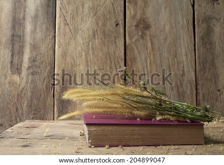 Still life with old book and flower foxtail weed in golden light on wooden background