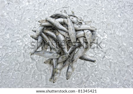 Frozen fish on ice