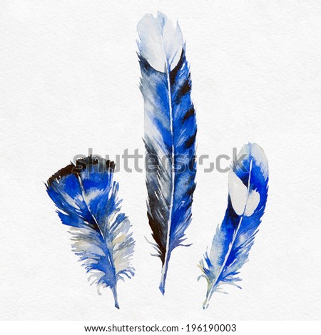 Blue feather on white background. Watercolor picture.