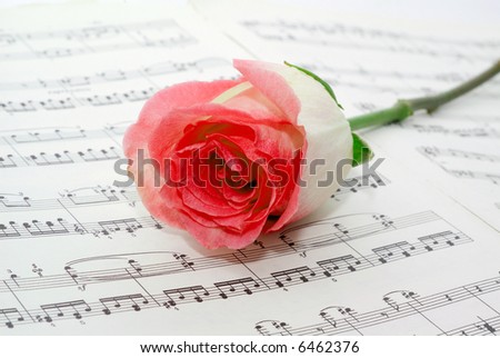 Pink rose on a musical sheet.