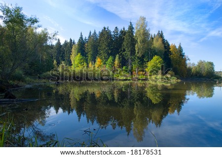 Landscape. Wood and lake