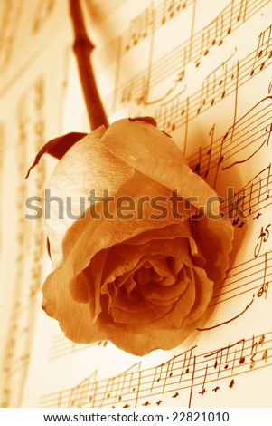 Pink rose on a musical sheet