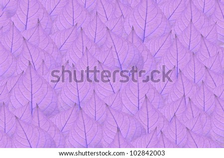 art  background with  violet leaves   , abstract wallpaper