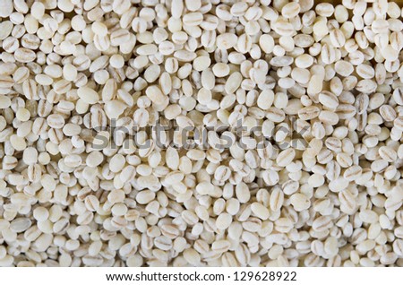 Pearl barley texture background full frame