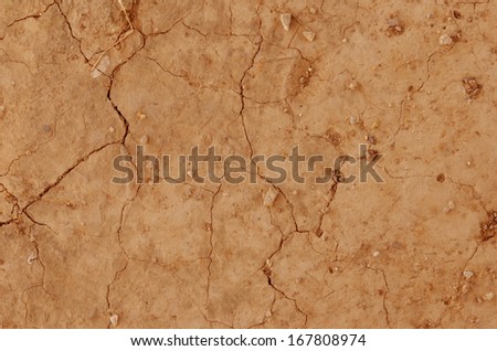 Close up dry land. Cracked ground , brown color background.